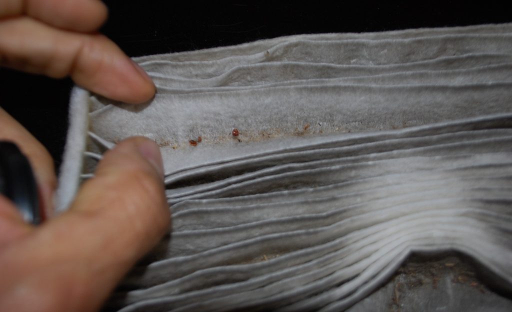 Why Replace Cabin Air Filter? (9 Reasons Why)